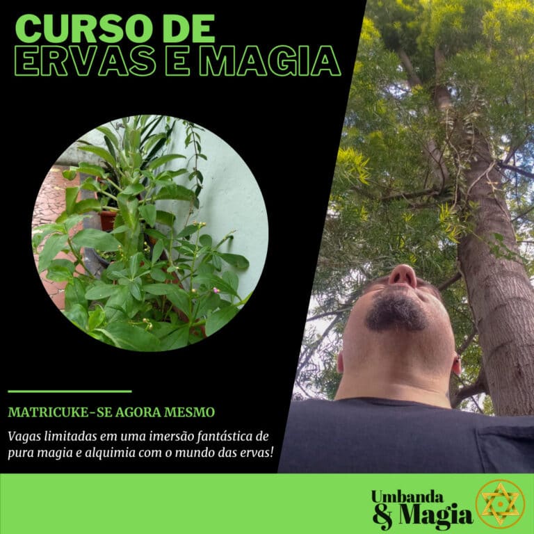 Curso de Ervas e Alquimia no Reino Vegetal